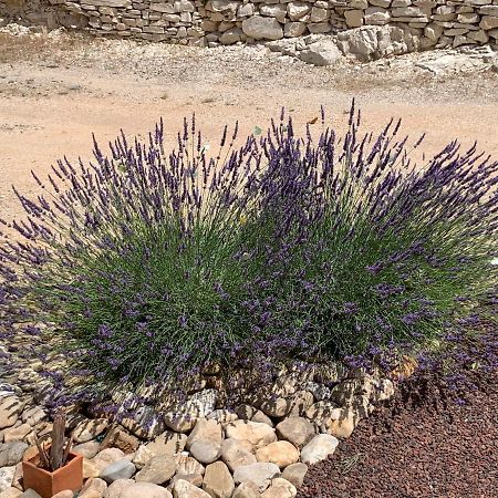 Au Fil Des Cevennes Bed & Breakfast Saint-Jean-de-Maruejols-et-Avejan Luaran gambar